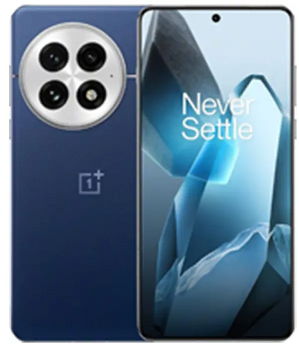 OnePlus 13
